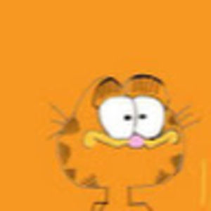 Meet your Posher, Gaby